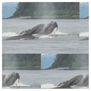 Feeding Humpback Whales Fabric