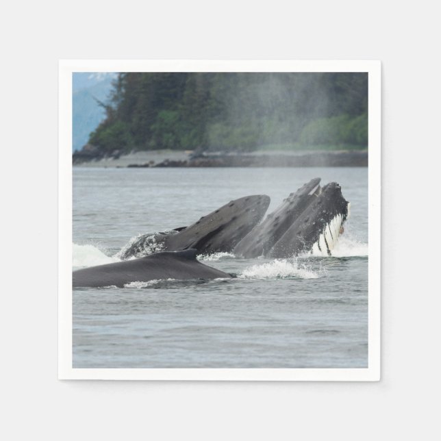 Feeding Humpback Whales Napkin (Front)