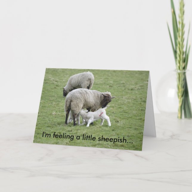 Feeding_Lambs, I'm feeling a little sheepish... Card (Front)
