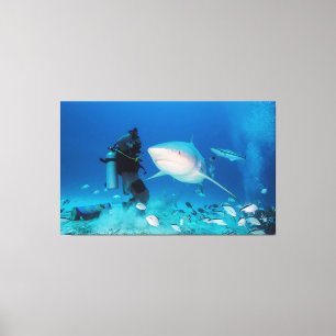 Feeding The Bull Canvas Print