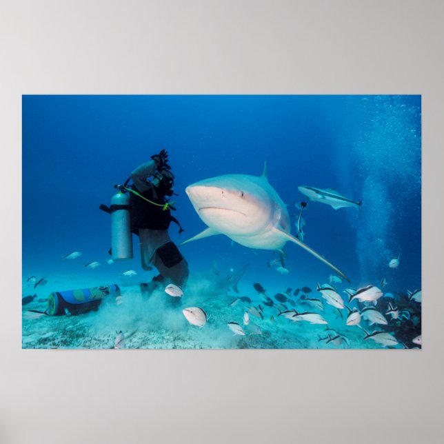 Feeding The Bull Poster (Front)