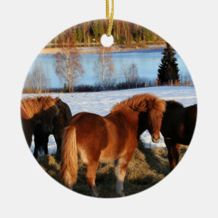 Feeding Time Ceramic Ornament