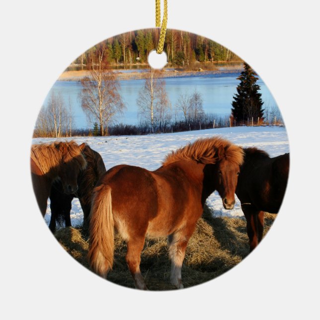 Feeding Time Ceramic Ornament (Front)