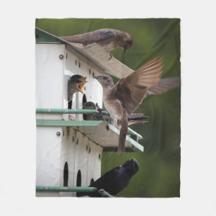 Feeding Time Fleece Blanket