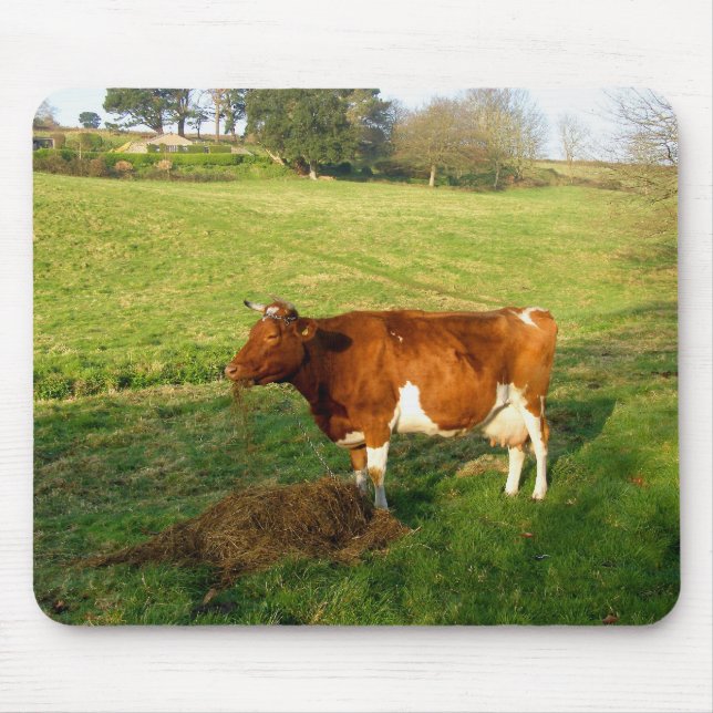 Feeding time for Guernsey cow Mouse Pad (Front)