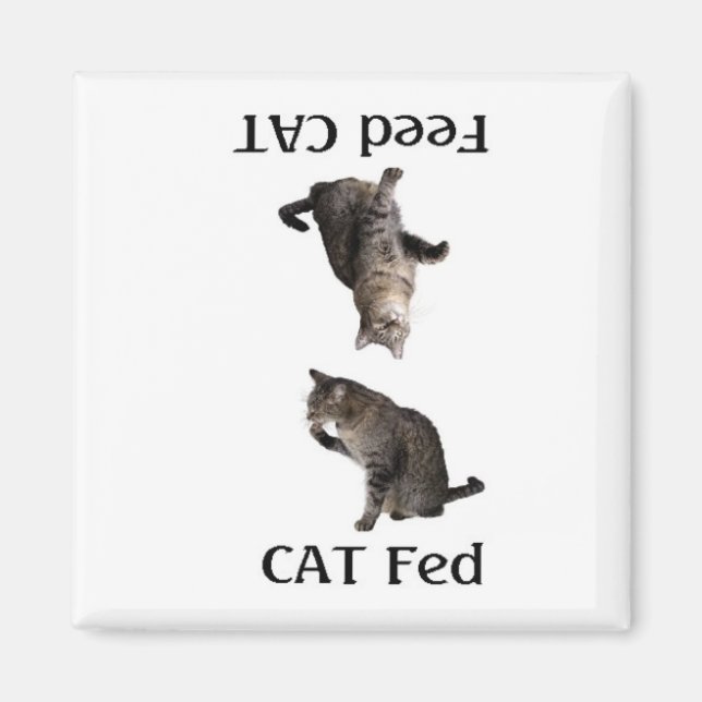 FeedTheCat Magnet (Front)