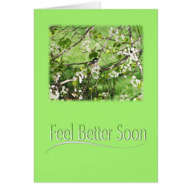 Feel Better Black Cap Chickadee Card (Front)