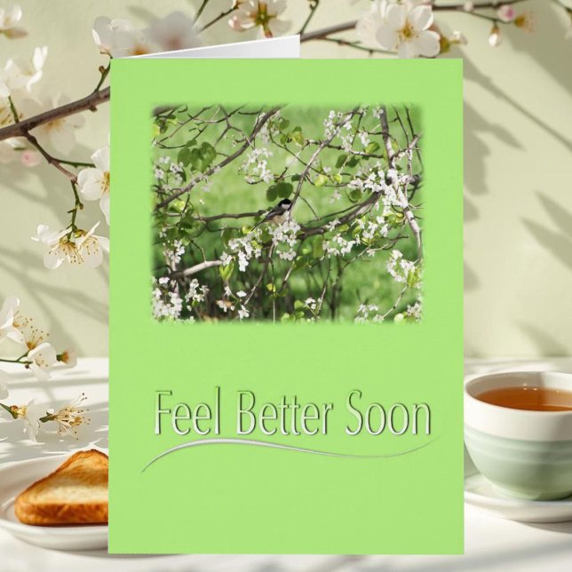 Feel Better Black Cap Chickadee Card (Creator Uploaded)