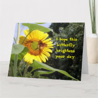 Feel Better from Group Butterfly Big Card