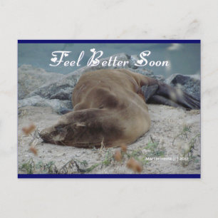 Feel Better Soon (Sea Lion) - Postcard