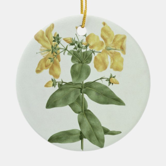 Feel-Fetch (Hypericum quartinianum) (w/c over grap Ceramic Ornament (Front)