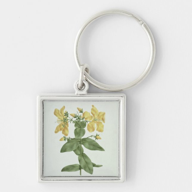 Feel-Fetch (Hypericum quartinianum) (w/c over grap Keychain (Front)