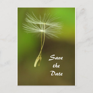 Feel free - Flying Dandelion seed Announcement Postcard