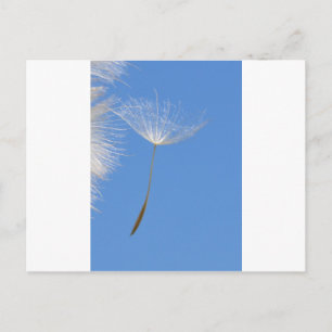 Feel free postcard