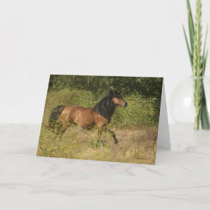 Feel my Spirit Card