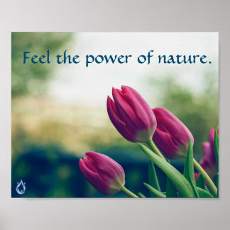 Feel the Power of Nature Poster