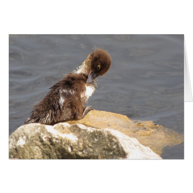 Feelin' Ducky - Duckkking Get Well Card (Devant horizontal)