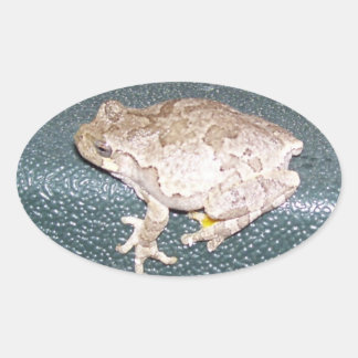Feelin' Froggy! Oval Sticker