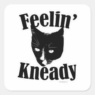 Feelin Kneady Funny Cat Cute Photo Slogan Square Sticker