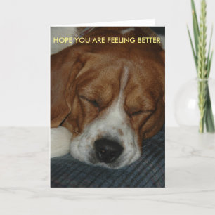 Feeling Better card with beagle