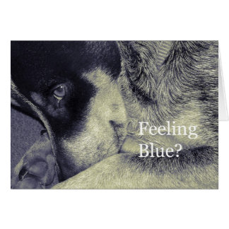 Feeling Blue