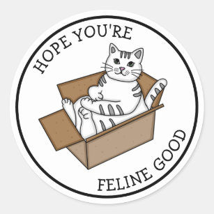 Feeling Good   Get Well   White Cat Classic Round Sticker