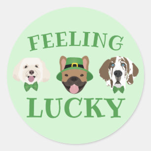 Feeling Lucky St Patricks Day Dog Faces Classic Round Sticker
