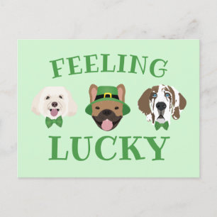 Feeling Lucky St Patricks Day Dog Faces Postcard