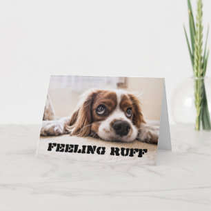 Feeling RUFF get well soon Card