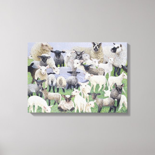 Feeling Sheepish Canvas Print (Front)