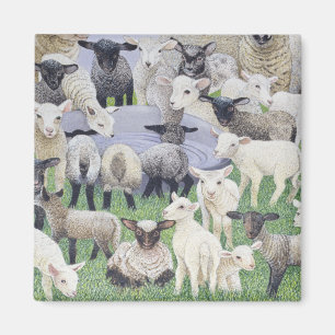 Feeling Sheepish Magnet