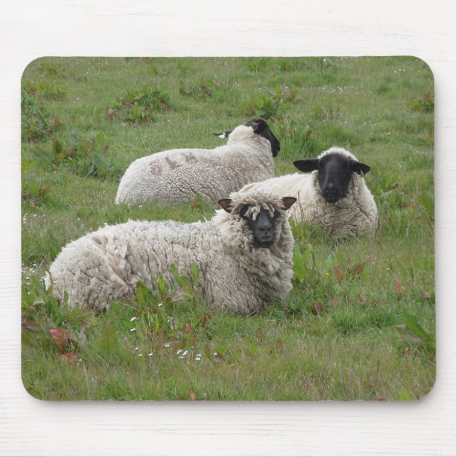 Feeling Sheepish Mouse Pad (Front)