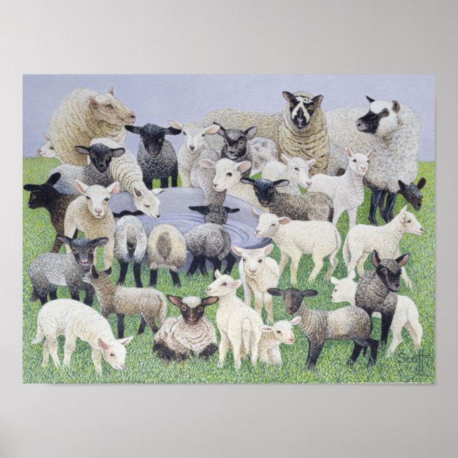 Feeling Sheepish Poster (Front)