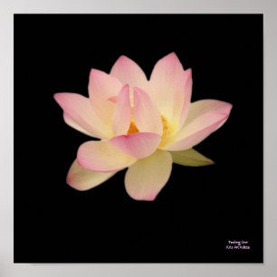 Feeling Zen- Poster