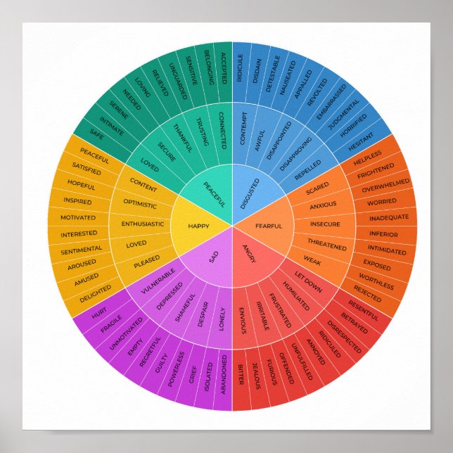 Feelings Wheel, Colourful Emotions Chart  (Front)