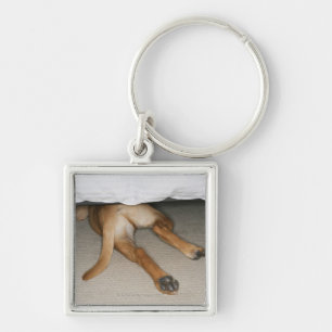 Feet and tail of yellow lab dog hidden under bed keychain