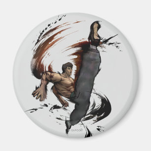Fei Long High Kick Magnet