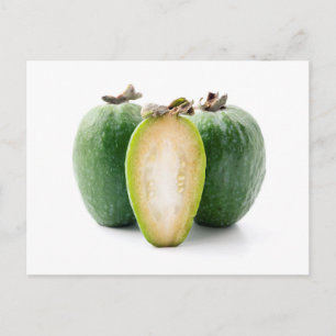 Feijoa  postcard