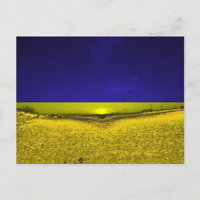 Feld in Farben der Ukraine Postcard (Front)
