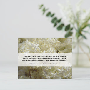 Feldenkrais about learning - postcard