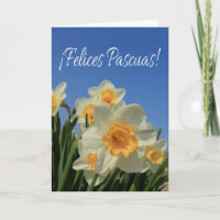 Felices Pascuas spanish Happy Easter