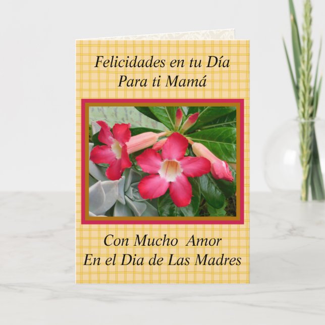 Felicidades Mama en el Dia de Las Madres 1021 Card (Front)