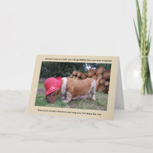 Félicitations à la carte Basset hound