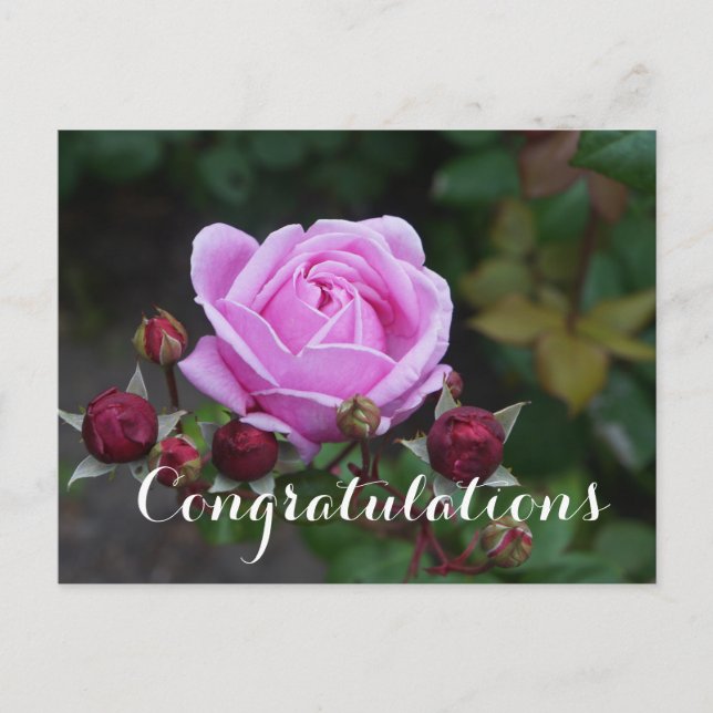 Félicitations Bishop’s Castle  #1 Carte postale (Devant)