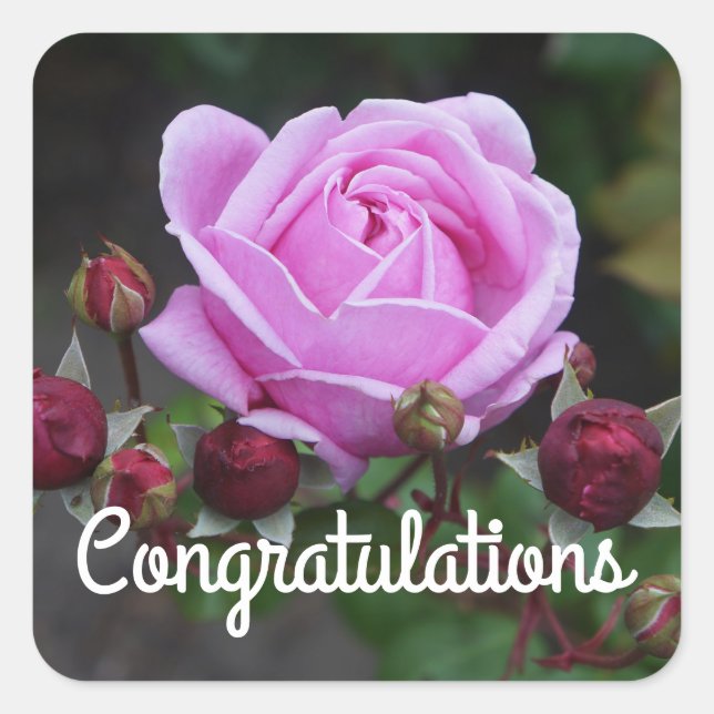 Félicitations Bishop’s Castle Rose#1 Stickers (Devant)