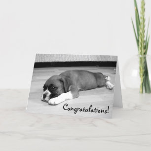 Félicitations Boxer Dog carte de voeux