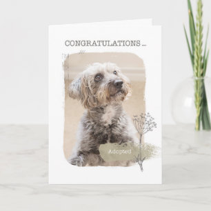 Félicitations Carte d'adoption de chien de garde
