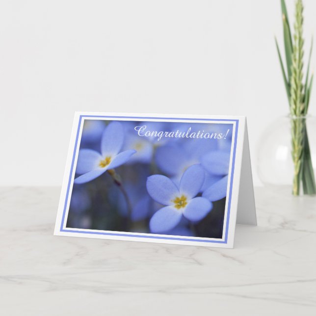 Félicitations - carte de voeux de Bluettes (Devant)