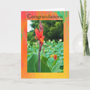 Félicitations Carte de voeux pliée par Jo Images