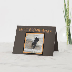 Félicitations Carte W/Basset Hound Puppy